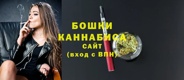 молекула духа Нязепетровск