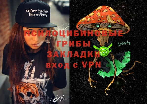 экстази Няндома